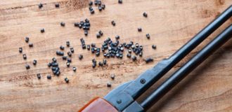 airgun and pellet